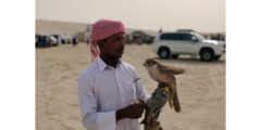 صقر قطر اغلى طير في العالم